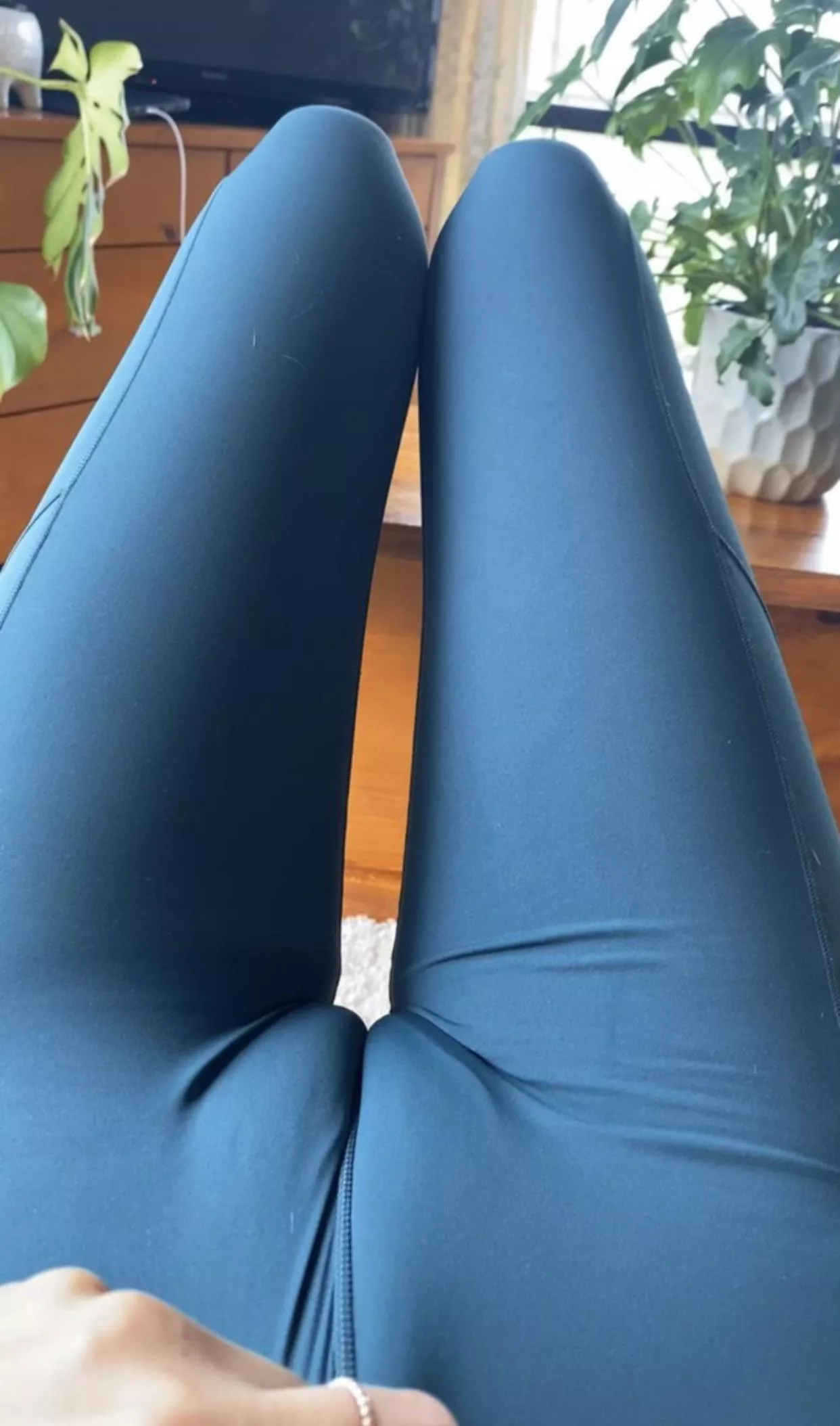 Mind if I spend the day distracting you.. posted by Blueberry_Training