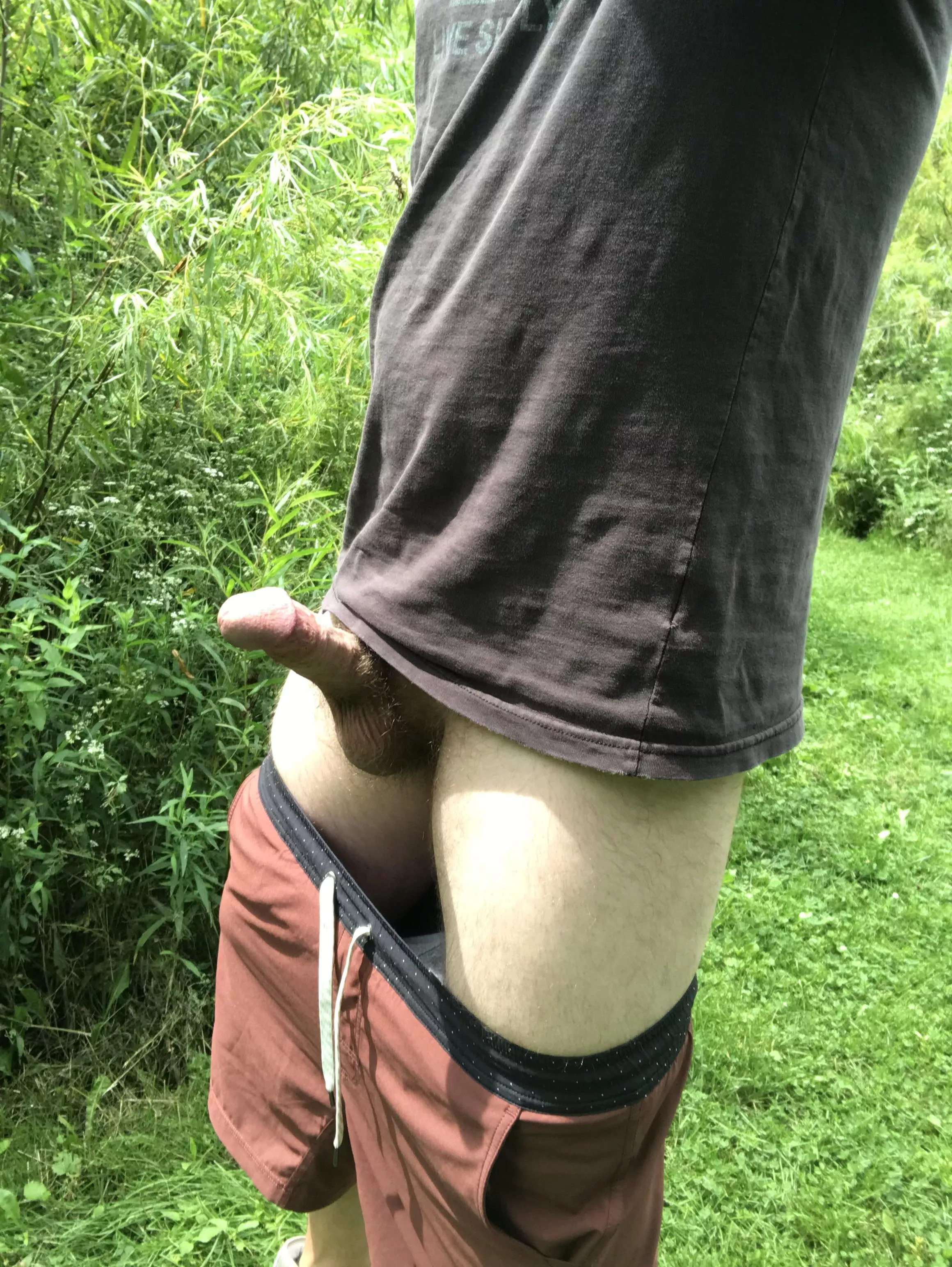 Nice day for a hike. posted by InternationalStop376