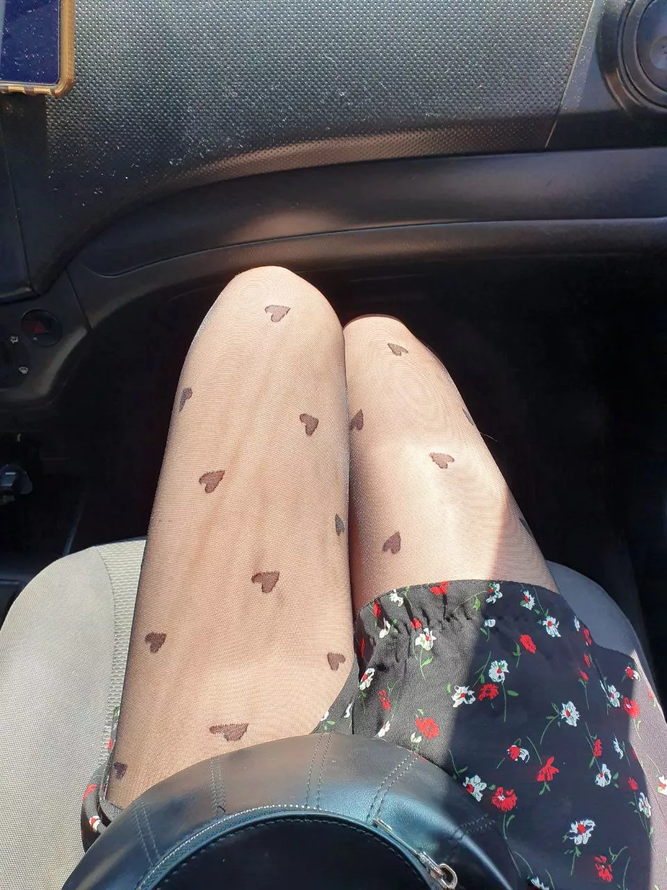 Nice sunny weather posted by innocent_fox_art