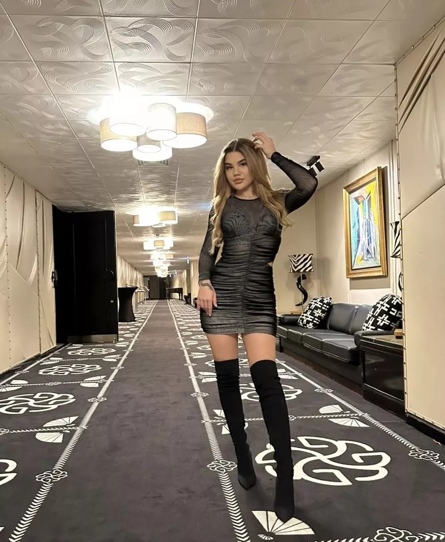 Short dress, big personality. Who's interested? posted by BicornOutreach