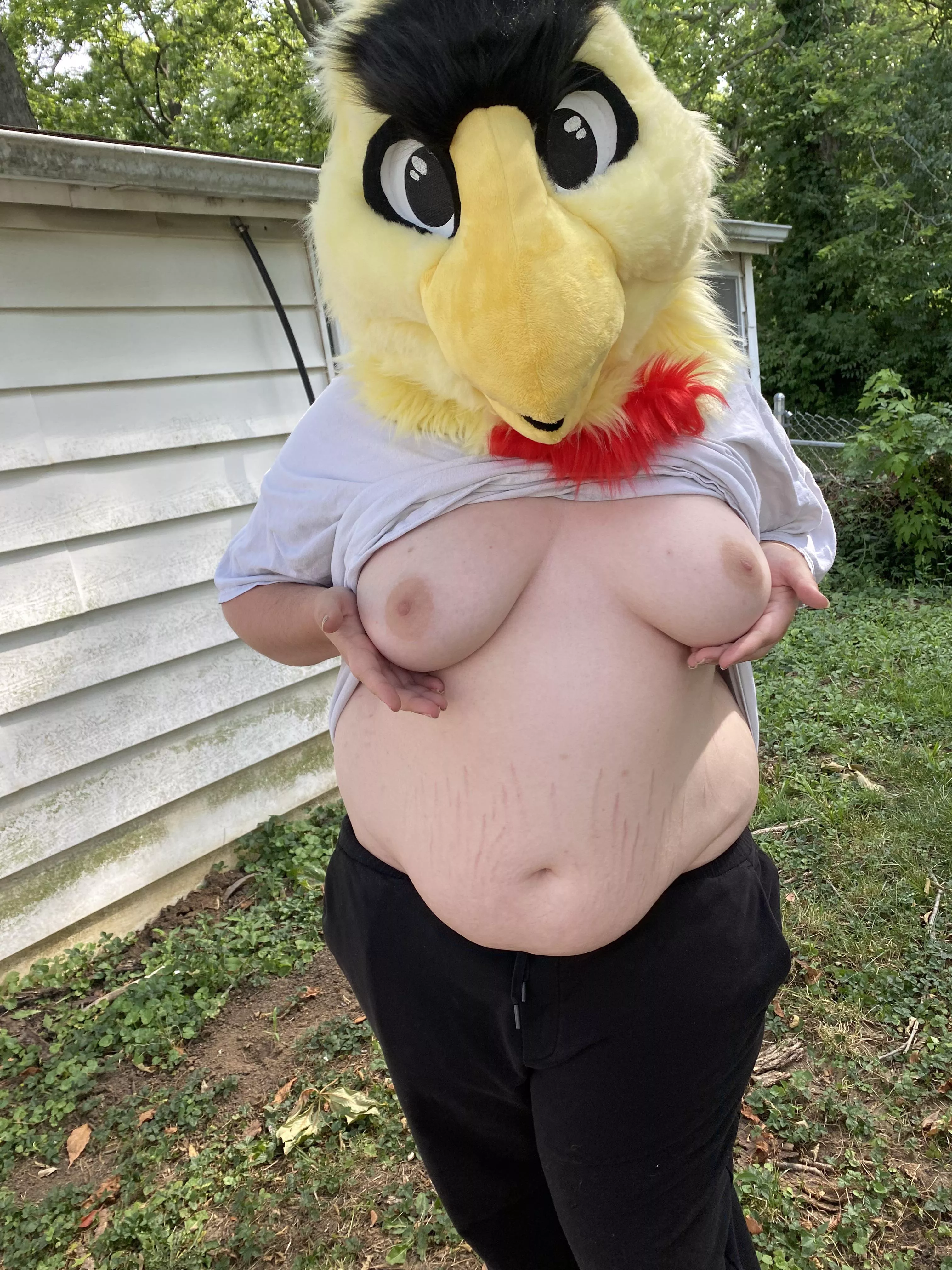 Should I return? If so what would you wanna see?? posted by Feelings-101