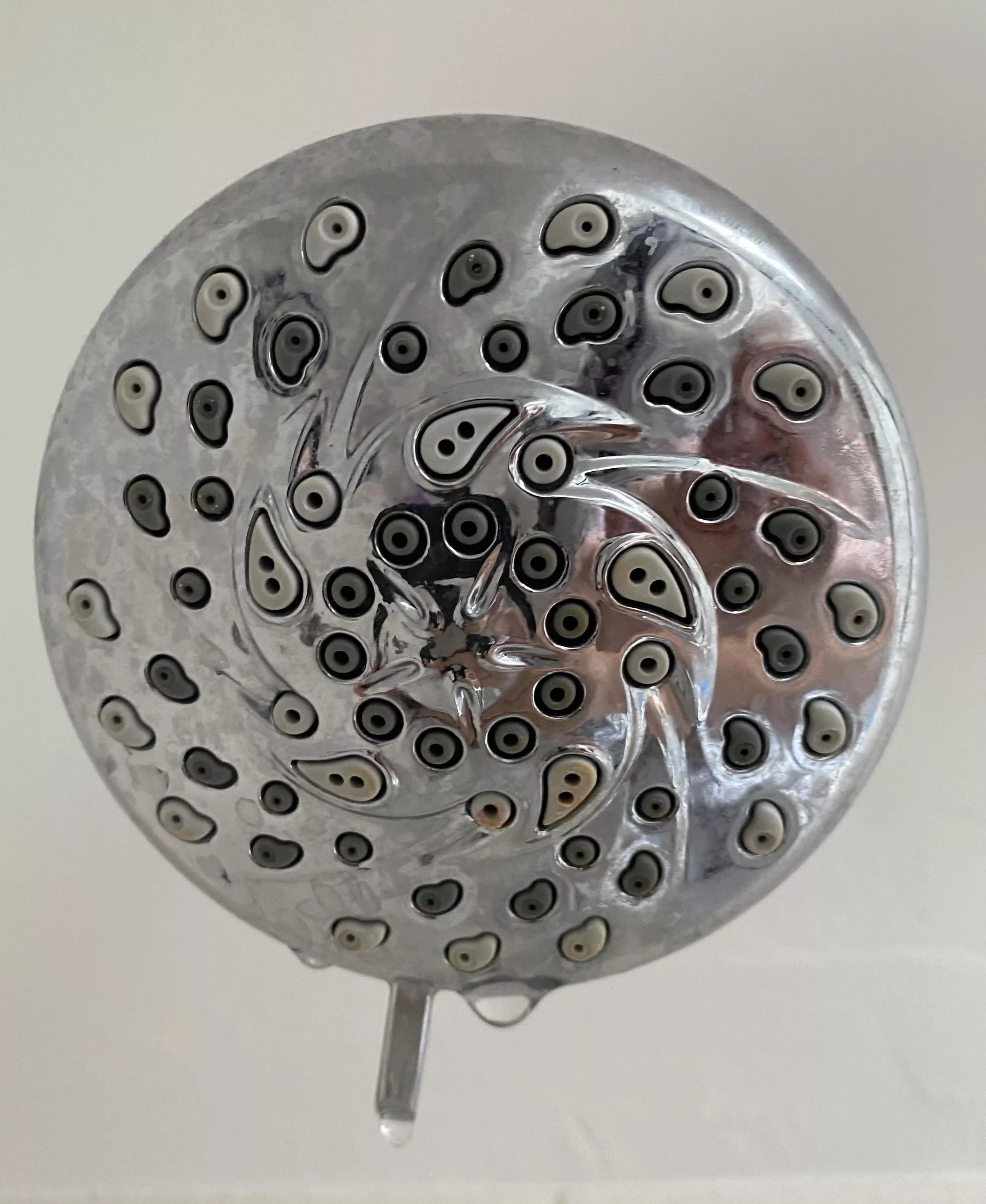 So now when I look at my shower head, I only see comedonicus nevus. posted by LeftLanePasser