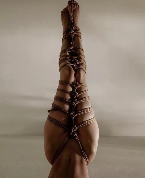 Some Fine Shibari by Comfortable-Egg1572