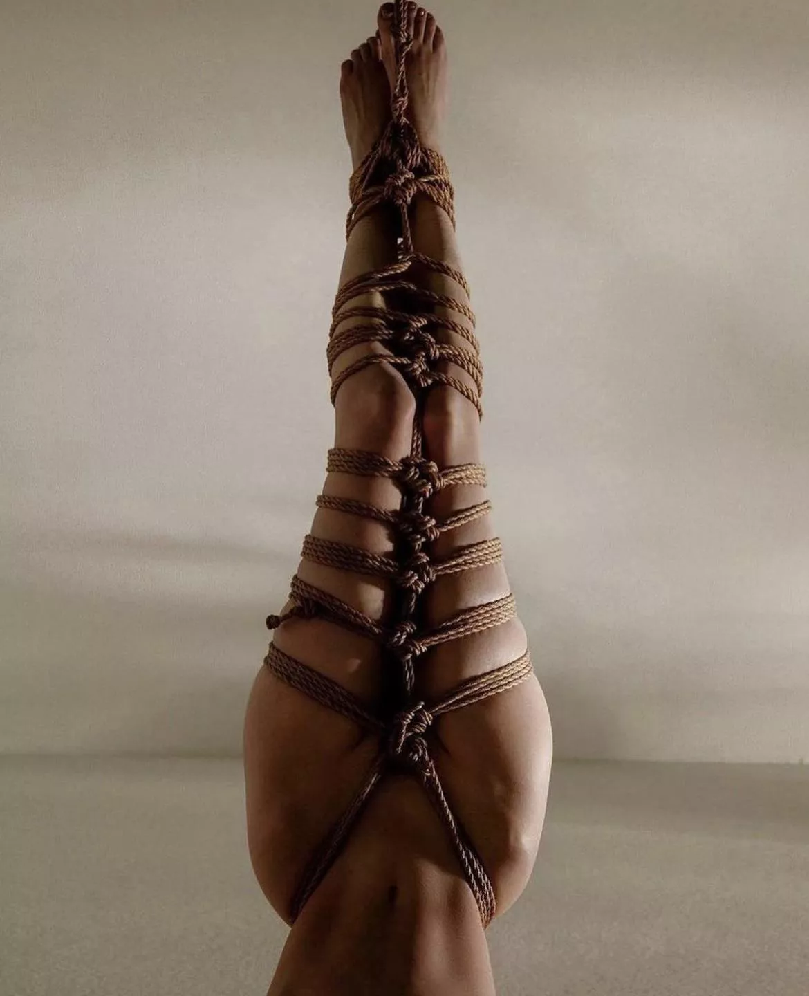 Some Fine Shibari posted by Comfortable-Egg1572