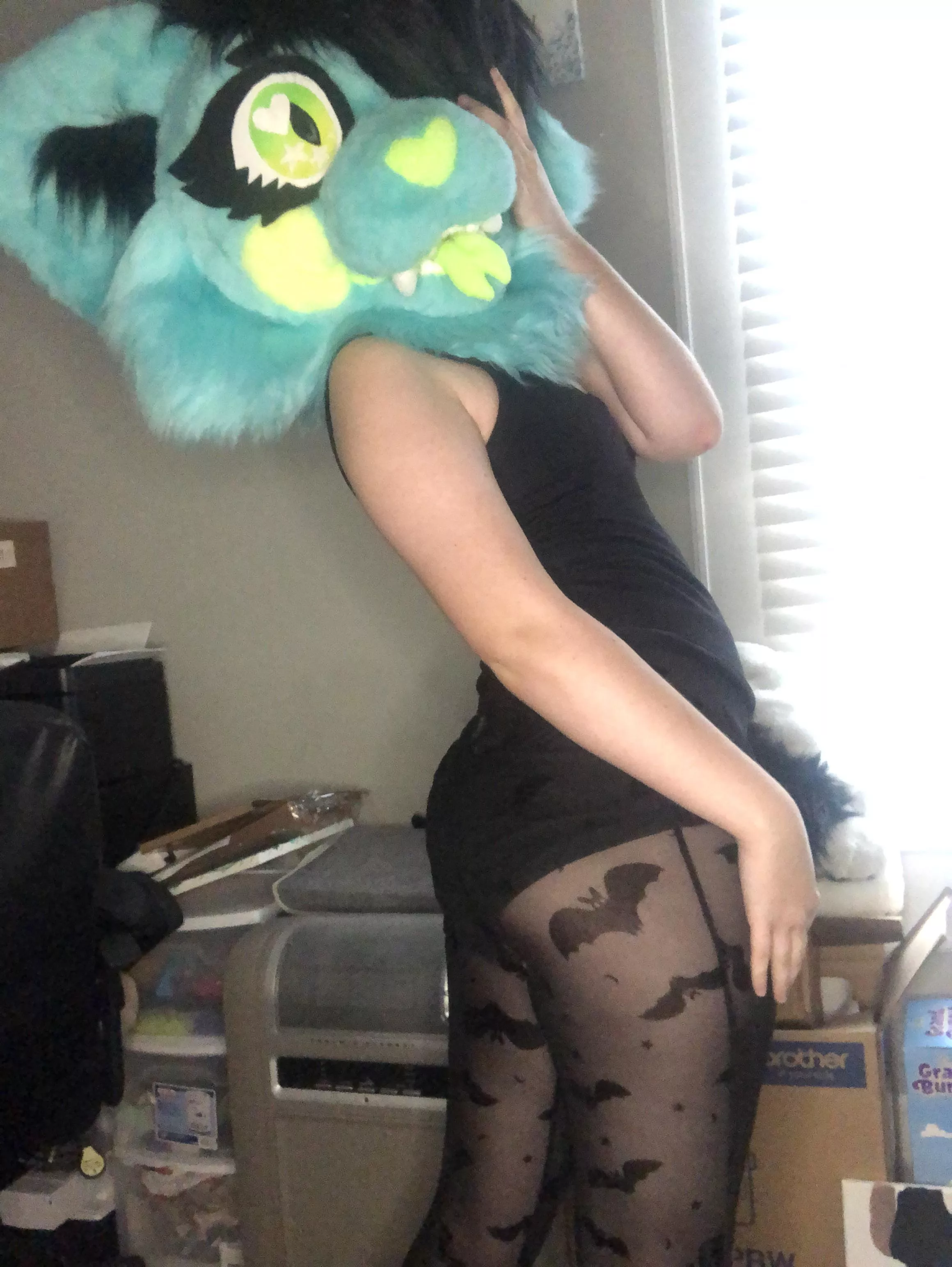 what’re you looking at, silly? posted by acid_eminent