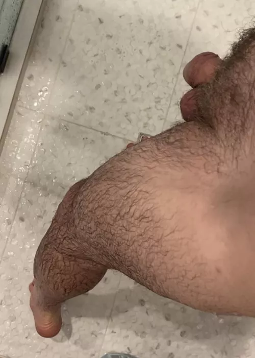 Otter in water by WhatsInTheBox926