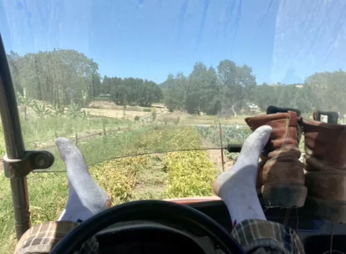 [selling] These socks have been put to good use over the years of farming 😝 worked holes in the heels. Hot days all cooped up in boots🥵😷 Would be a shame if no one got to love them 😘 by Sweaty-farmgal-tiff