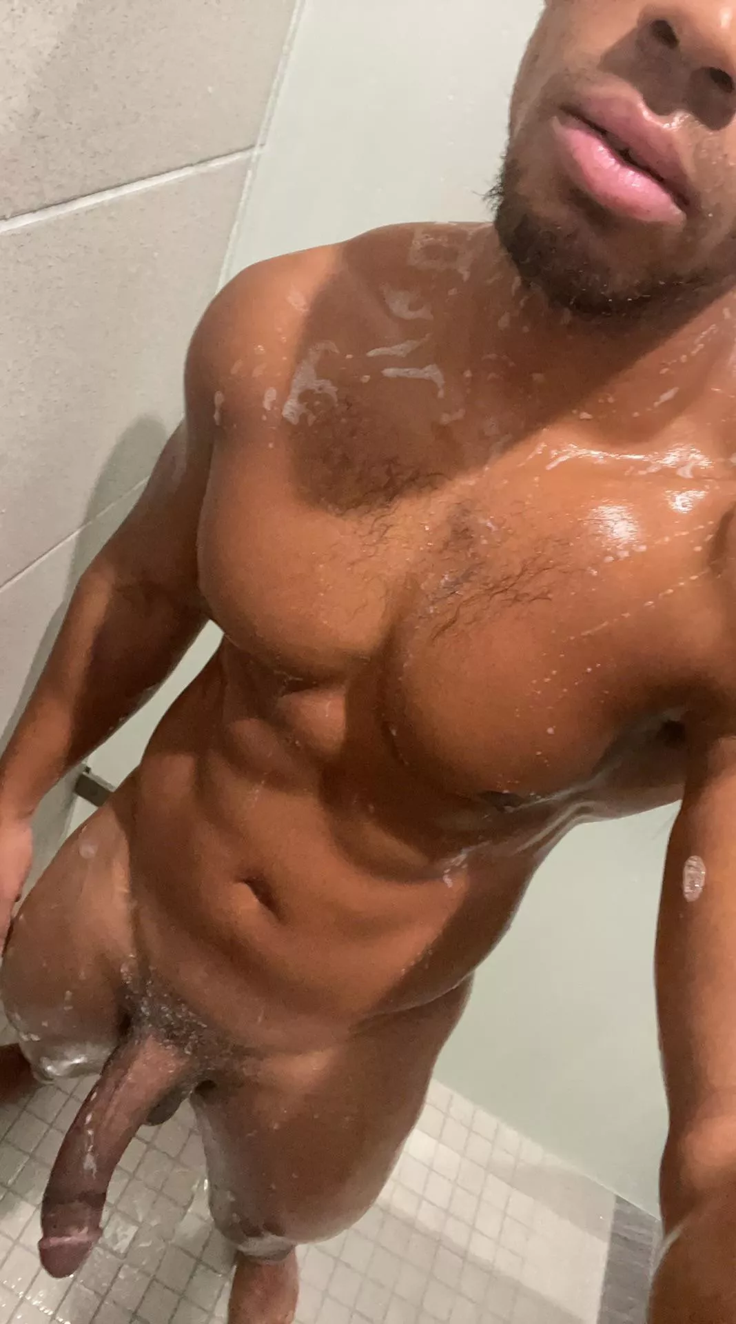 30M Experienced BBC Bull with a lot of stamina and skill posted by bbernard951