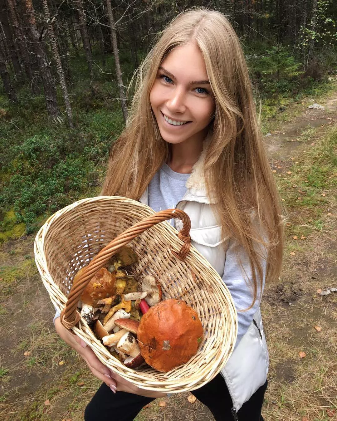 Beautiful Harvest posted by dl-2021