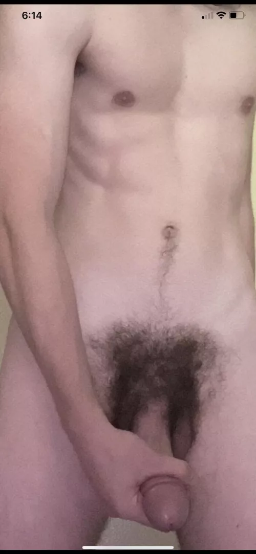 Bush gone wild by UpbeatBi