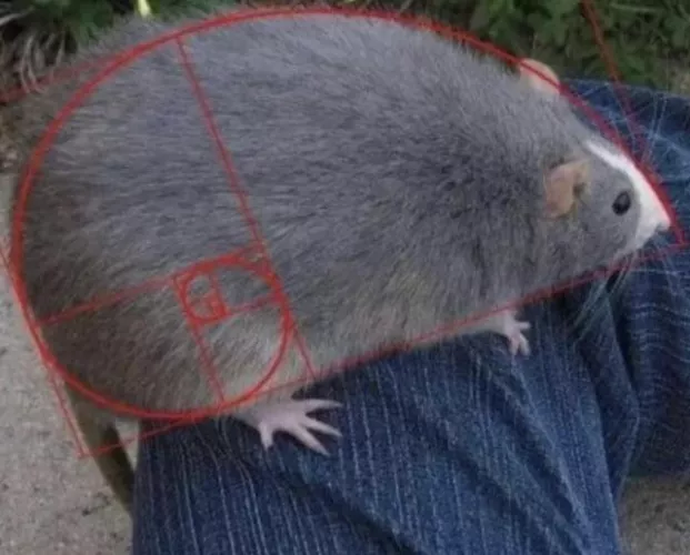 [Can we not allow AI? It’s really bad to see it get more and more present while it is basically a stealing artist machine :/] by LittleRalsei