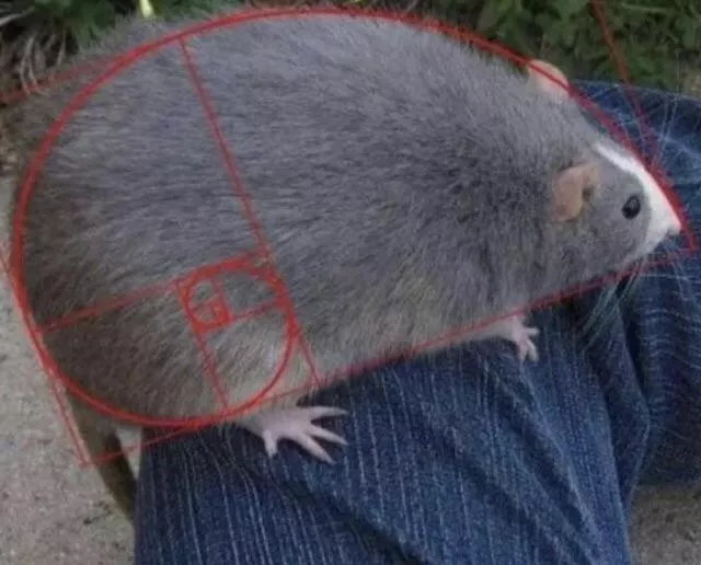 [Can we not allow AI? It’s really bad to see it get more and more present while it is basically a stealing artist machine :/] posted by LittleRalsei