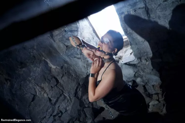 Cuffed in the Basement of the Stone House by Comfortable-Egg1572