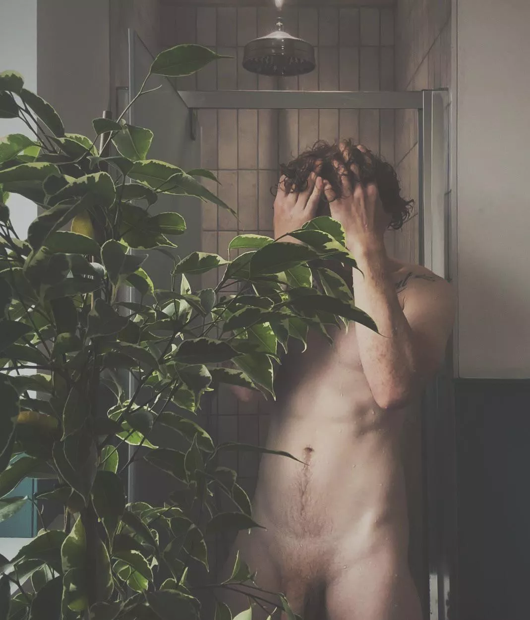 Ginger enough? posted by greenandorangee