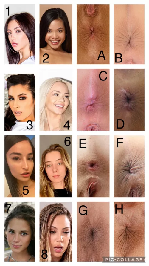 Guess the Asshole by grhli11