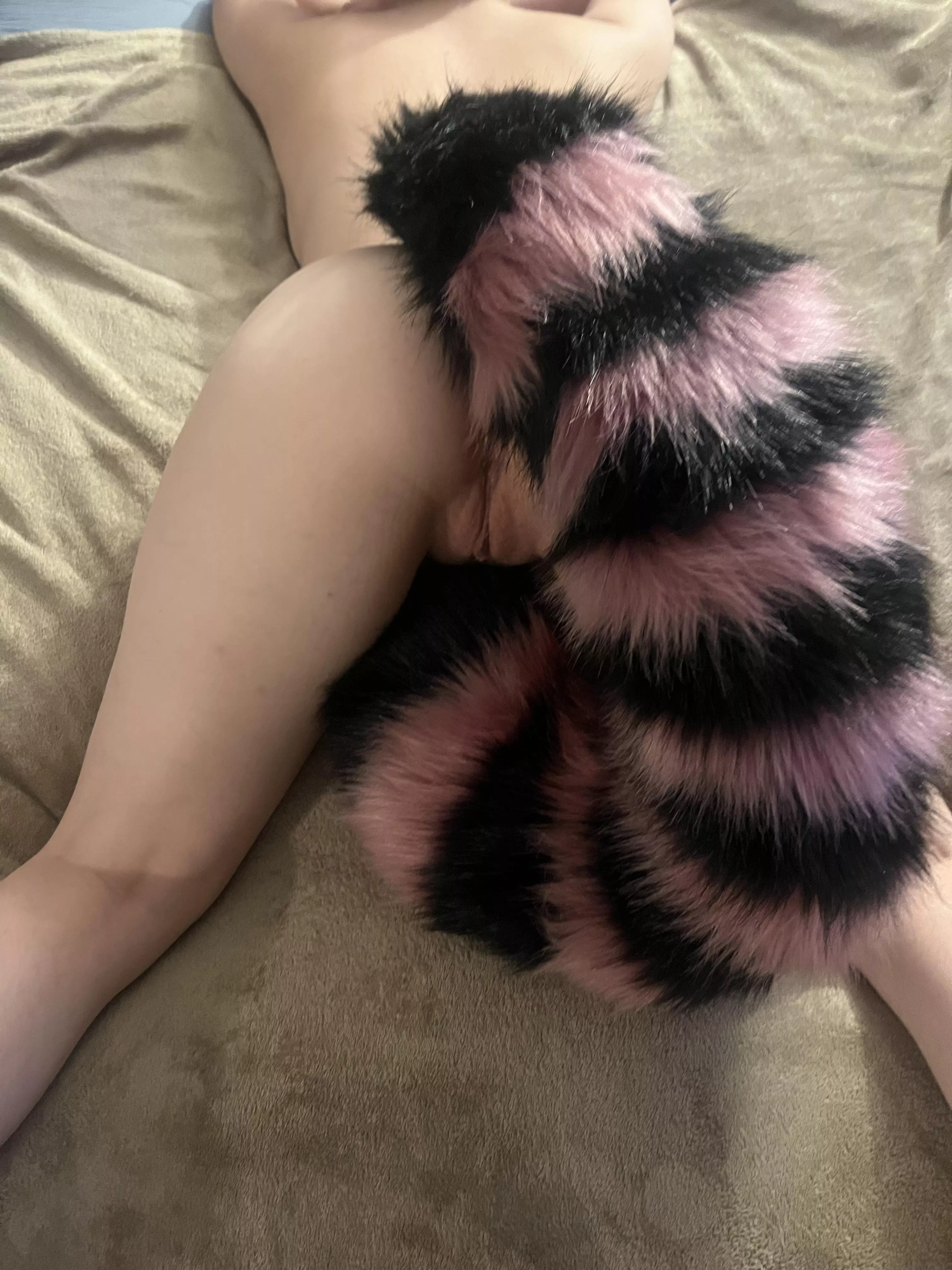 Hope this foxy can help~ posted by Brattylittlefoxy