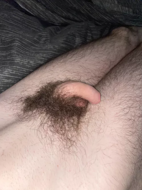 Just woke up by No_Log1698