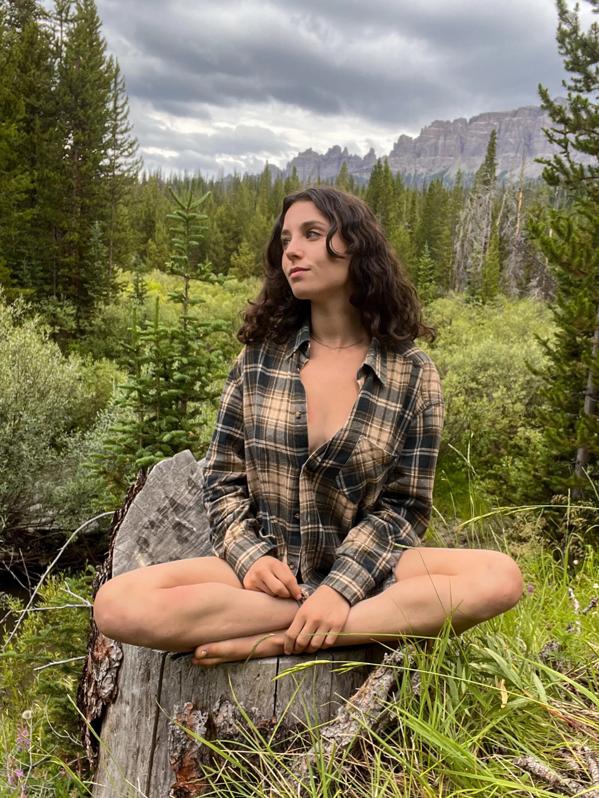 perfect morning in the mountains posted by forest--fox