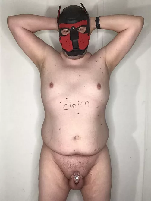 puppy cieirn locked up by cieirn