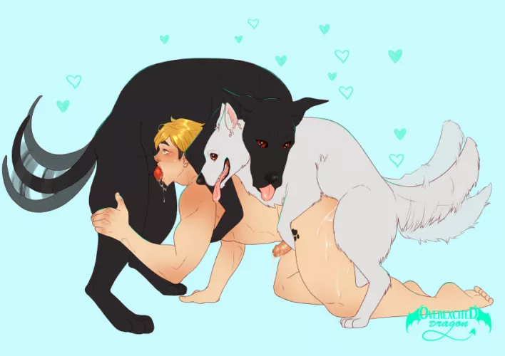 Their owner or their gay sex slave? (overexciteddragon) by SluttySlavicBoy