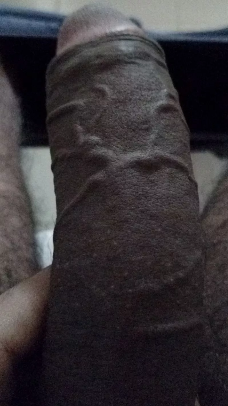 veiny and thick enough for you? posted by Critical_Log_2026