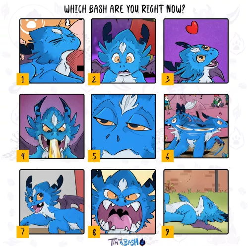 Which Bash are you right now? by TimandBash