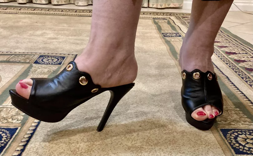 Attention seekers by madamkathy