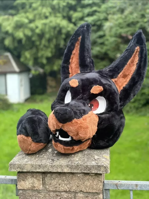 Bought my first fursuit (well a head and tail) what should I call him/me? by wolfmaskman