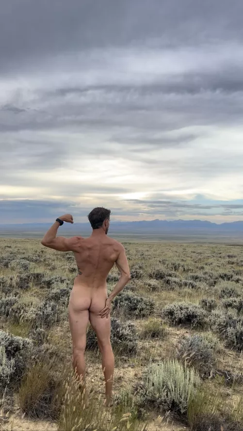 Cloudy with a chance of meatballs by freeintheforest86