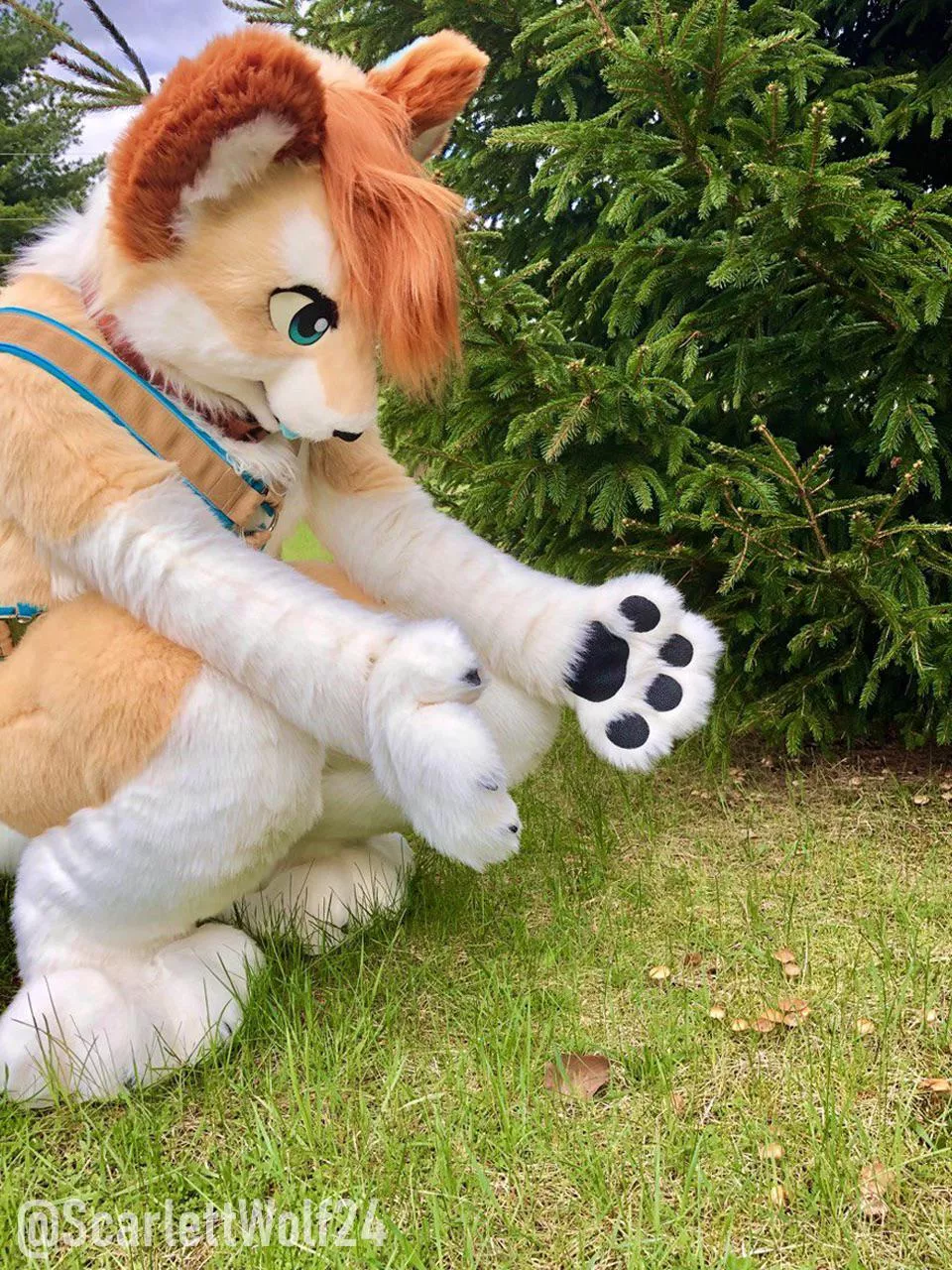 Happy Fursuit Friday! 🍄🐾 posted by scarlettwolf24