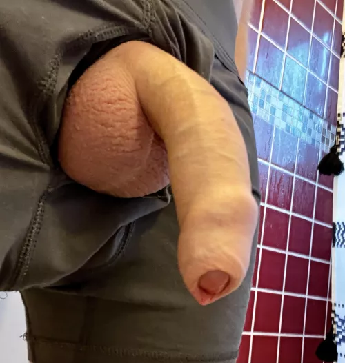 I love showing off my covered cock on this sub by ZiggyZardozz