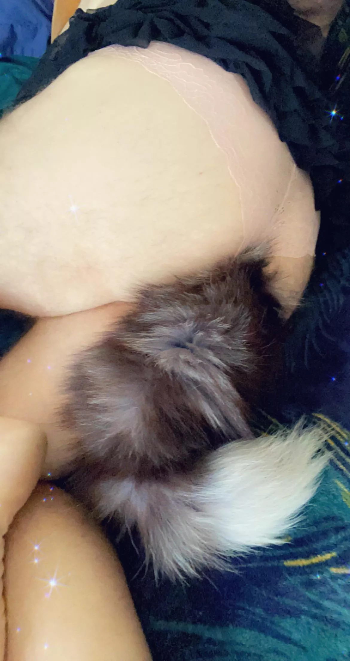 Less work, more kitten time posted by hernaughtykitty