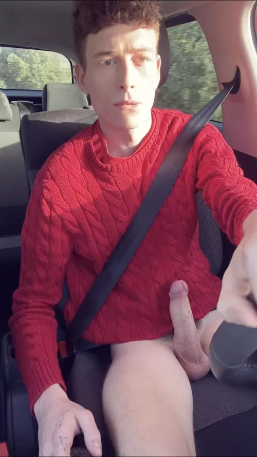 Let’s go for a ride :p by noodlesmaster