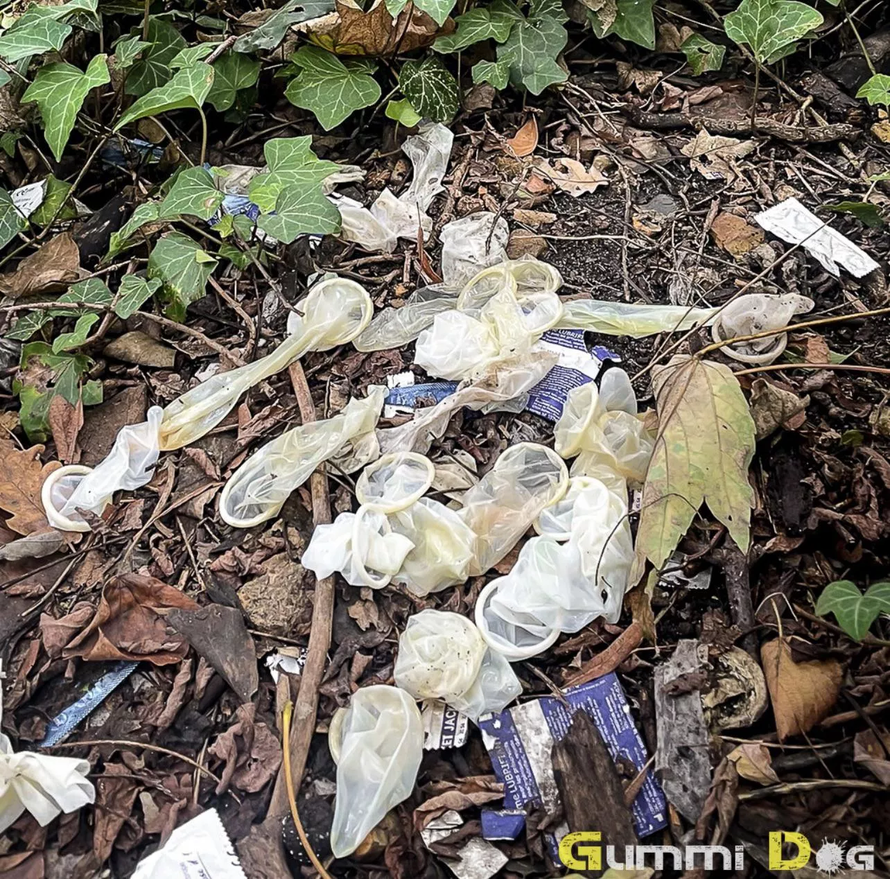 Love to find used condoms on the trail so hot to add another load to , pic below is a gold mine ! Love cum filled used condoms posted by Trick_Wave5391