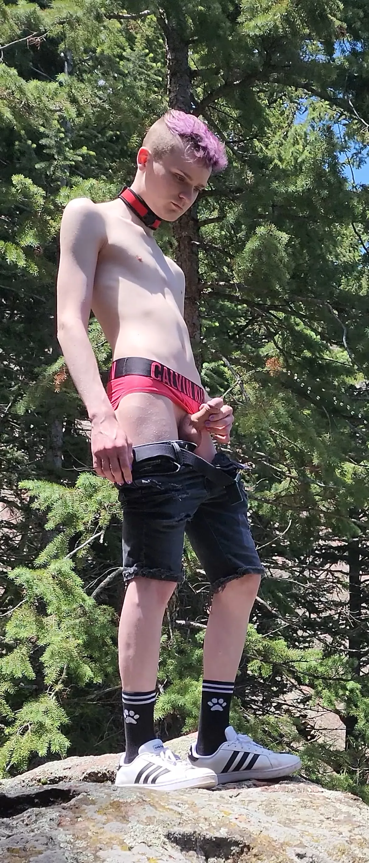 Marking my spot on the mountain. posted by kinkyryan2552