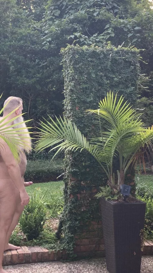 Morning glory by Visible-Tea1780