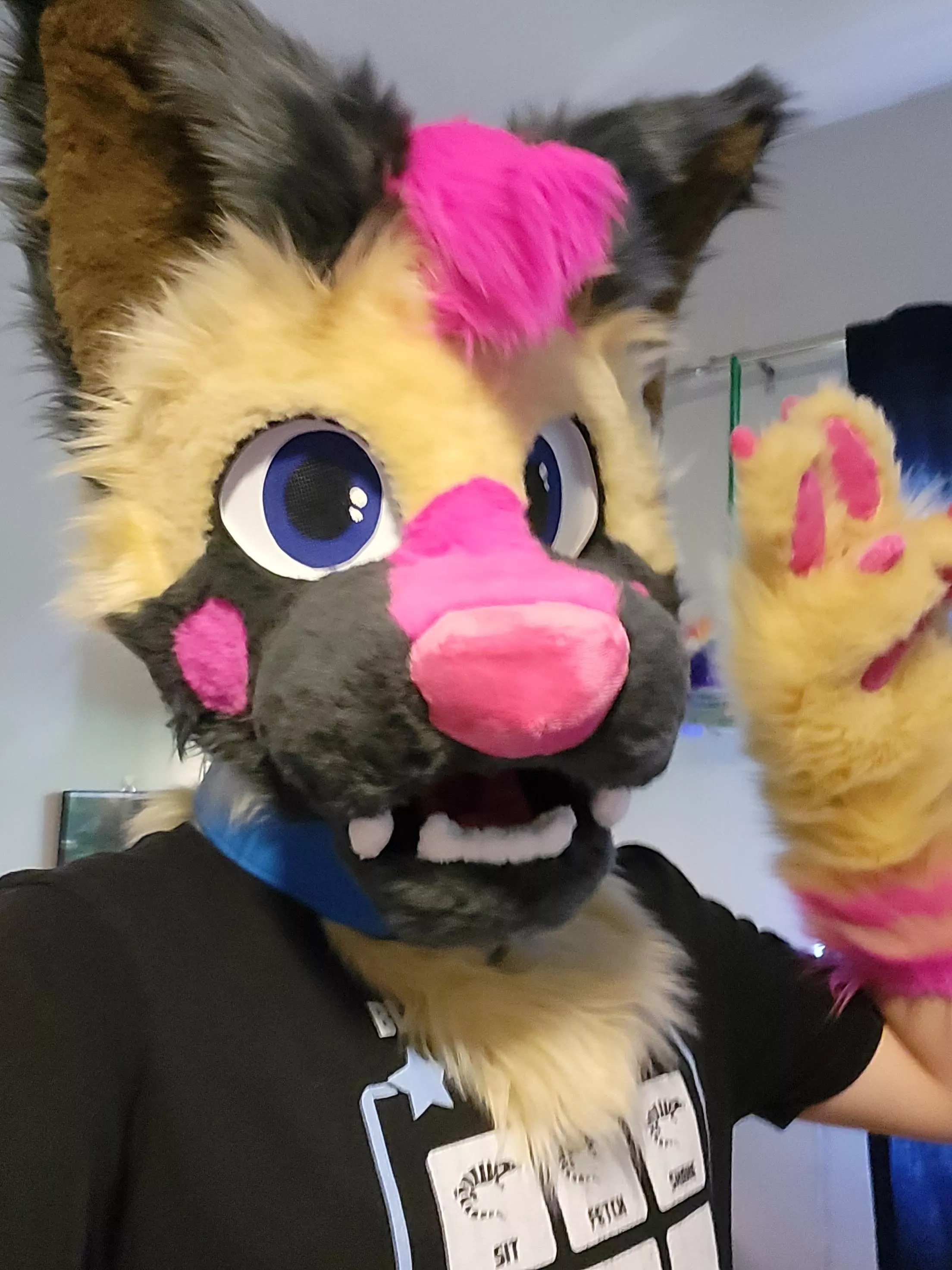 Never posted myself in suit here, so here's Fluxx! I hope everyone's having a great day / night :) posted by MaxBattleLizard