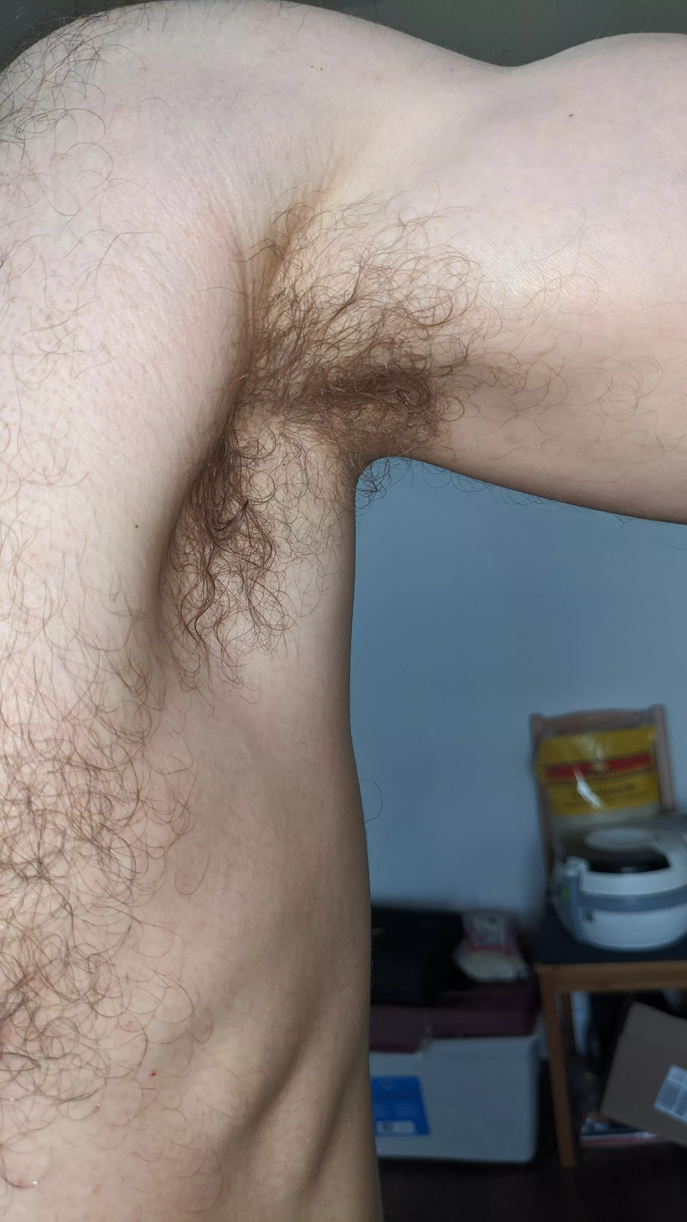 Perfectly musky posted by responsive-banana