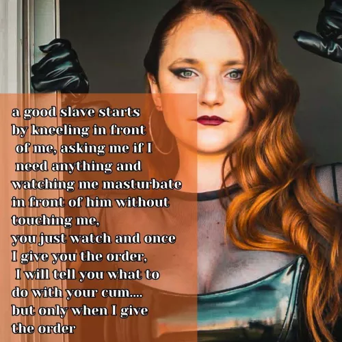 understood? by h-oneey