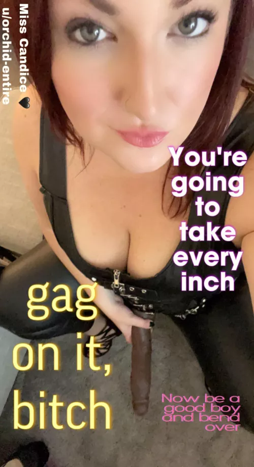 Wear a plug all day so you’re nice and ready for me tonight 🖤 by Orchid-Entire