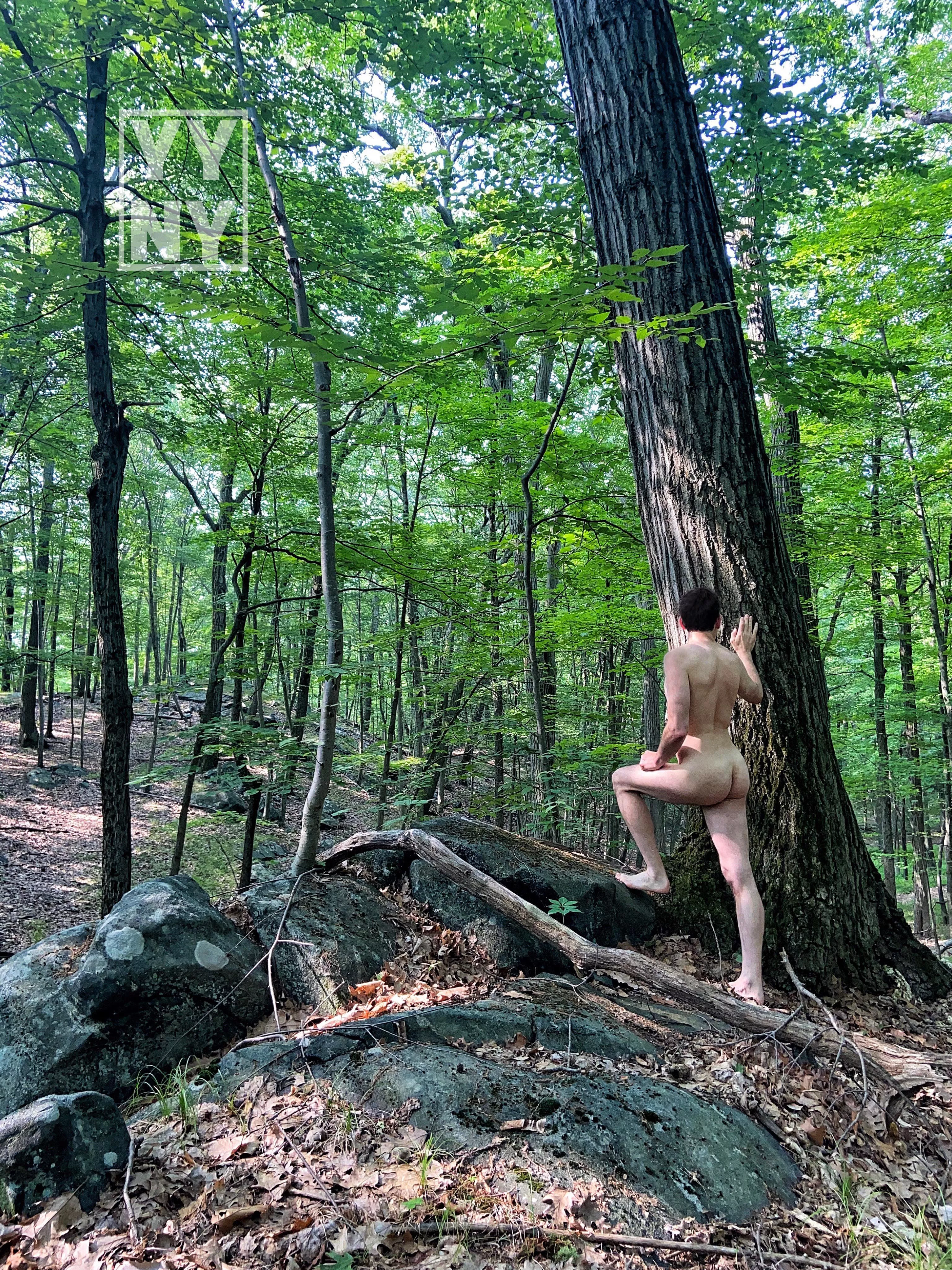 Who WOOD like to go hiking with me?? posted by YangYangNY