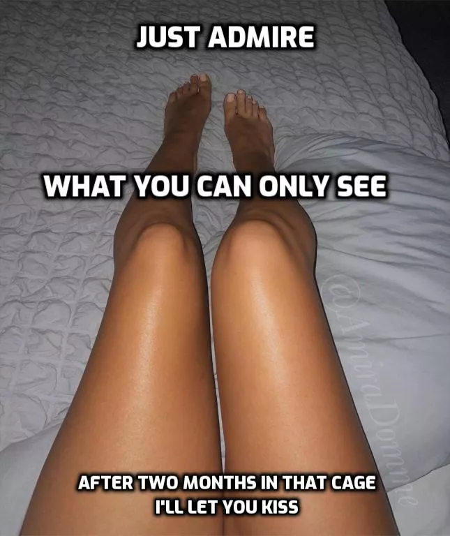 Would you resist? posted by AmiraDomme