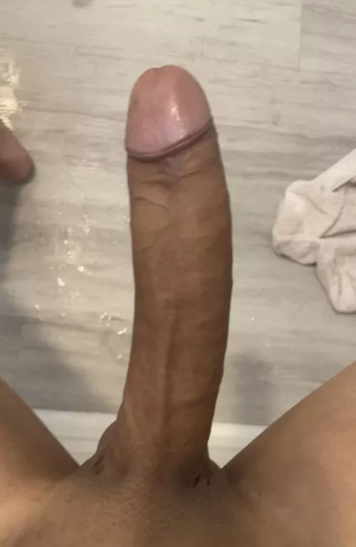 Be honest you sucking a big thick Latino cock?😈 by RevolutionaryBunch23