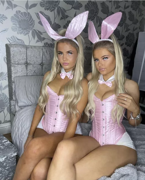 Both I guess 🤷‍♂️ by Ok_Bodybuilder8302