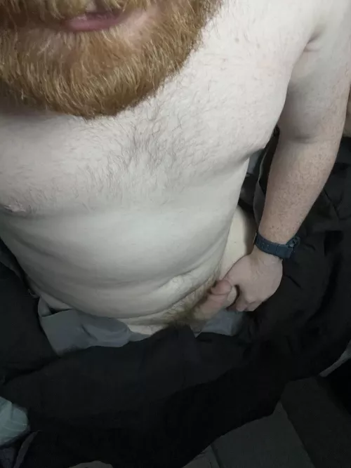 Do I qualify as a bear for you? [28] by Yukon6-9