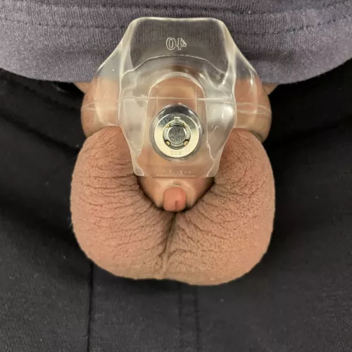 Do you think this cage fits me well? by Rivernati