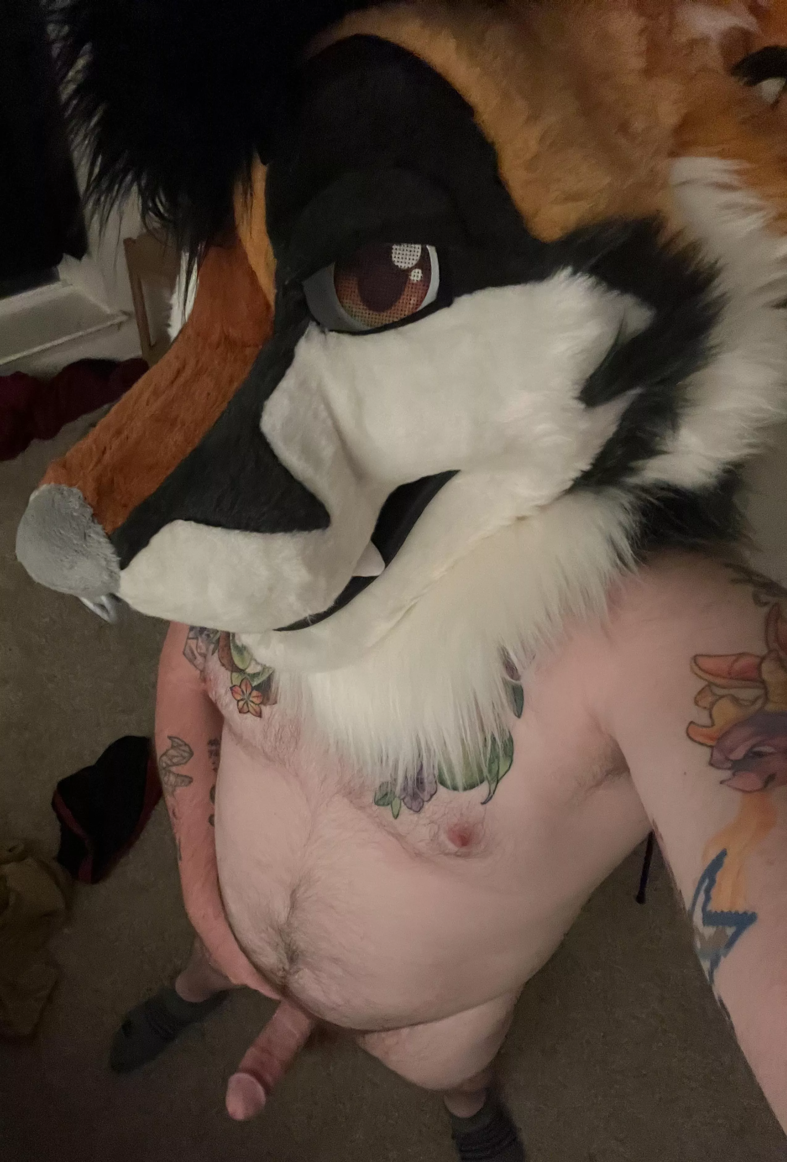 Finally Got My First Suit 🦊 posted by Razor_of_Occam