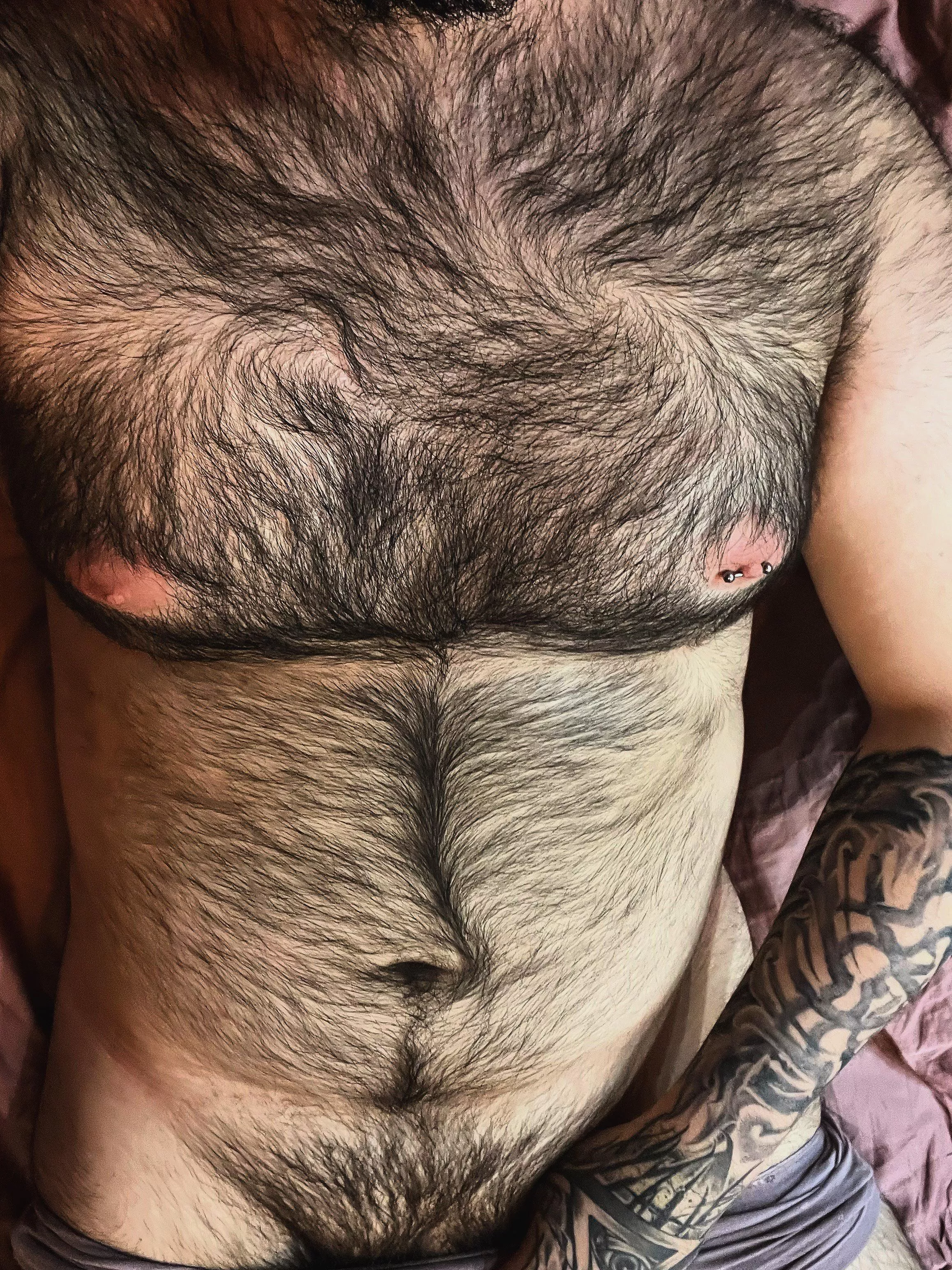 Hello bears🐻👋 posted by BearoDach