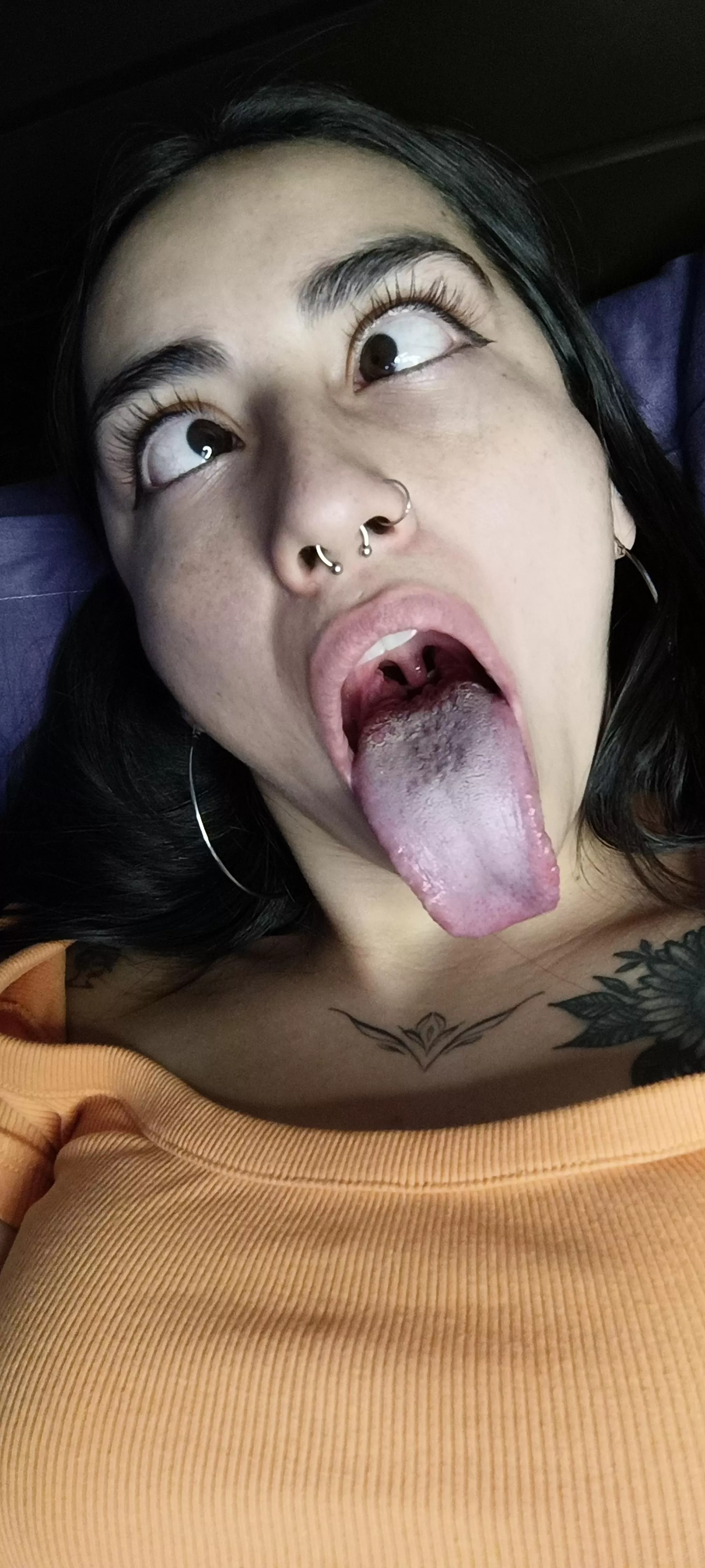 Little kitty is waiting for you on 💙🤍 check link in bio. posted by kittytonguesss