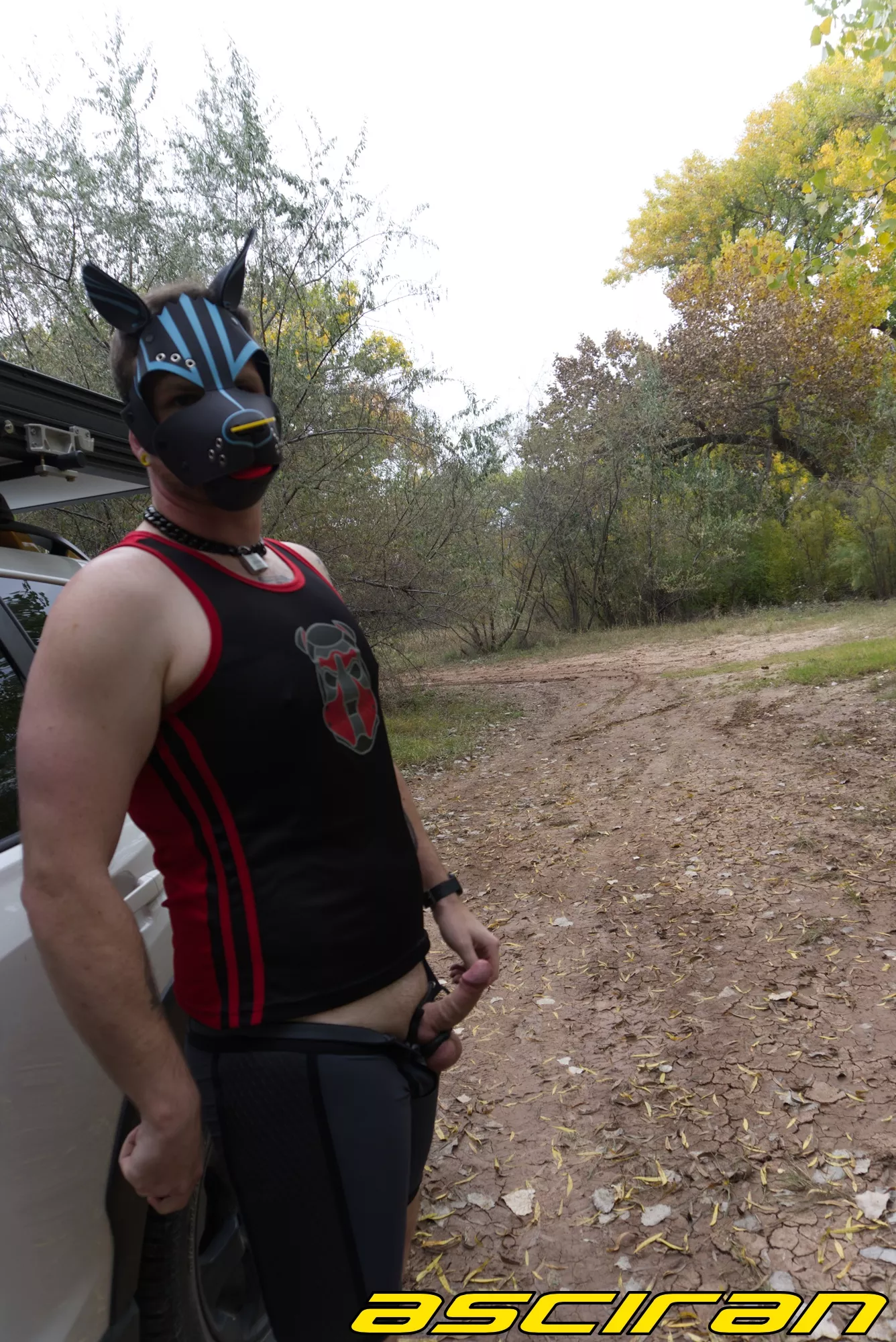 out to play. :) posted by scintar